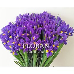 Букет із 101 ірису - Фото 1