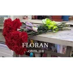 Bouquet of carnation flowers - Photo 1