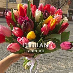 Букет тюльпанів - Фото 1