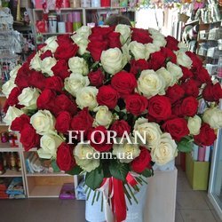 Букет з 101 червоно білої троянди - Фото 1