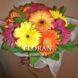 Bouquet of 11 gerberas - Photo 2