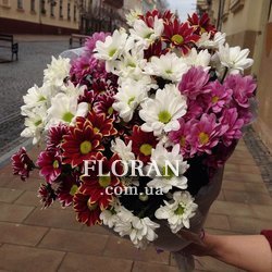 Букет з 11 хризантем - Фото 2