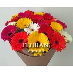 Букет з 25 гербер - Фото 1