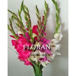 Bouquet of gladiolus - Photo 2