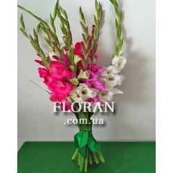 Букет з гладіолусів - Фото 1