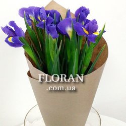 Bouquet of irises - Photo 1