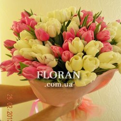 Дорогі тюльпани - Фото 1