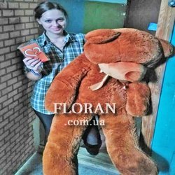 Гігантська іграшка - Фото 1