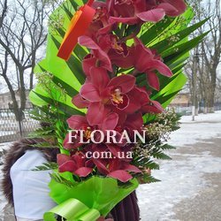 Гілка орхідеї - Фото 1