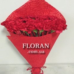 Гвоздика бордова - Фото 1