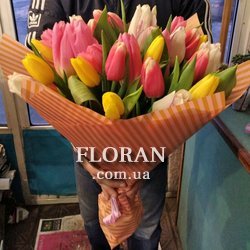 Різнокольорові тюльпани - Фото 1