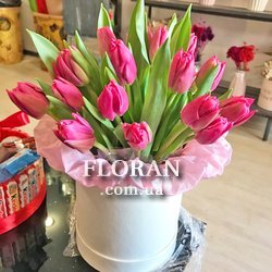 Pink tulips in a hat box - Photo 1