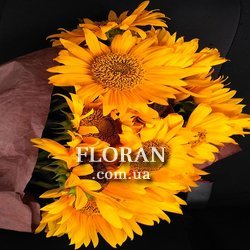 Соняшники в упаковці - Фото 2