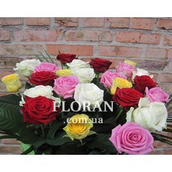 Яскраві троянди - Фото 1