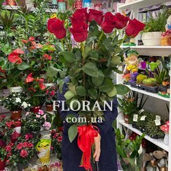 11 троянд 1 метр - Фото 1