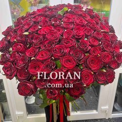 Bouquet 101 roses 70 cm - Photo 4