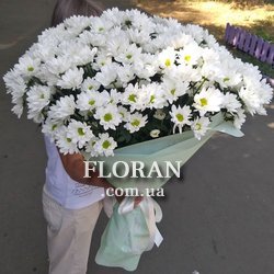 Букет ромашок для коханої дівчини - Фото 1
