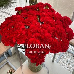 Men's bouquet of carnations - Photo 1