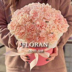 Гвоздики в коробці - Фото 1