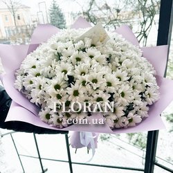 Красивий букет з ромашок - Фото 1