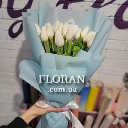 Квіти тюльпани білі - Фото 1