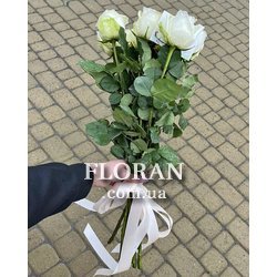 11 роз 80 см - Фото 3