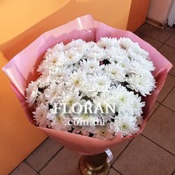 15 хризантем - Фото 2