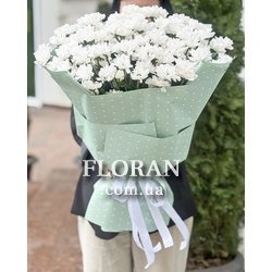 15 ромашек в крафте - Фото 3