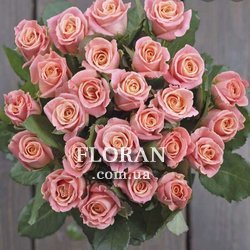 25 роз Мисс пигги в букете - Фото 1