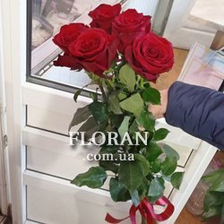 5 роз 1 м - Фото 2