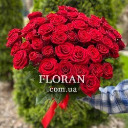 51 одна троянда - Фото 4