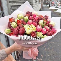 51 тюльпан мікс - Фото 1