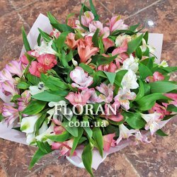 Альстромерии в упаковке - Фото 1