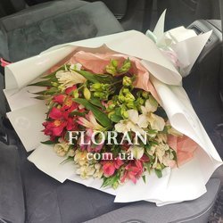 Альстромерія 11 шт. - Фото 1