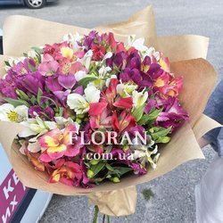 Альстромерія на подарунок - Фото 1