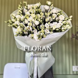 Білі еустоми букет - Фото 5