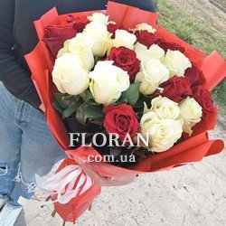 Bouquet of 25 red and white roses - Photo 1