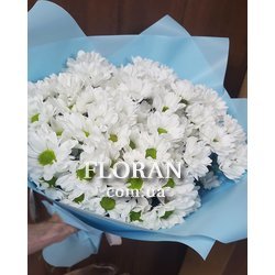 Букет із 11 ромашок - Фото 2