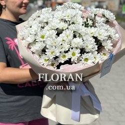 Букет із 11 ромашок - Фото 6