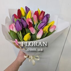 Букет із 25 тюльпанів - Фото 1