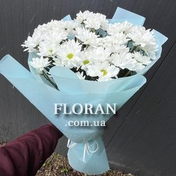 Букет из белых ромашковых хризантем - Фото 10