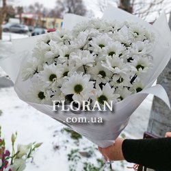 Букет із білих ромашкових хризантем - Фото 3