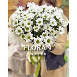 Букет із білих ромашкових хризантем - Фото 5