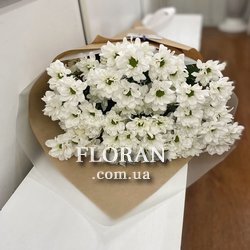 Букет из белых ромашковых хризантем - Фото 8