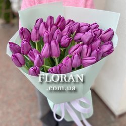 Букет із фіолетових тюльпанів - Фото 1