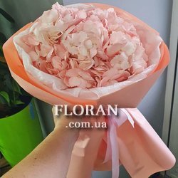 Букет із однієї гортензії - Фото 1