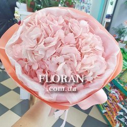 Букет із однієї гортензії - Фото 2