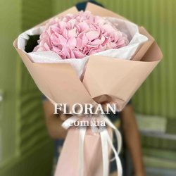 Букет із однієї гортензії - Фото 4