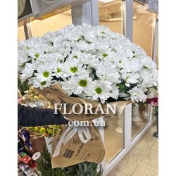 Букет ромашок для коханої дівчини - Фото 2