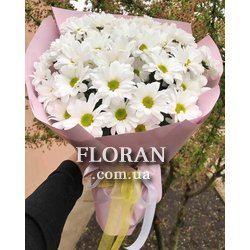 Букет ромашок - Фото 3